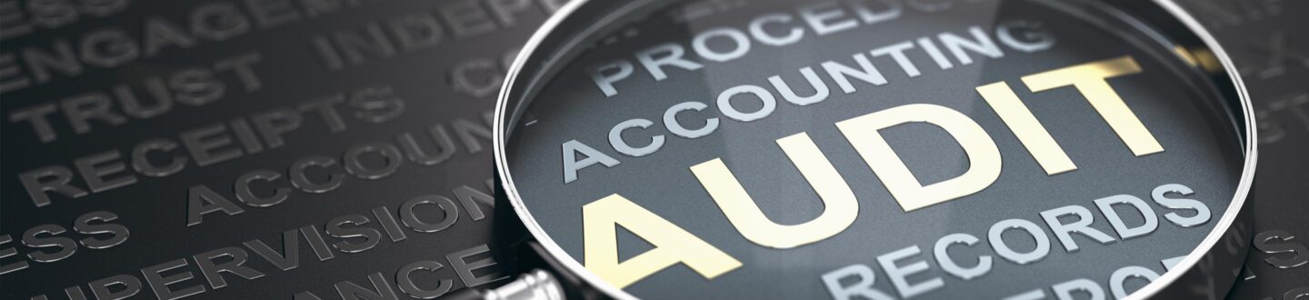 Audit & Assurance Services